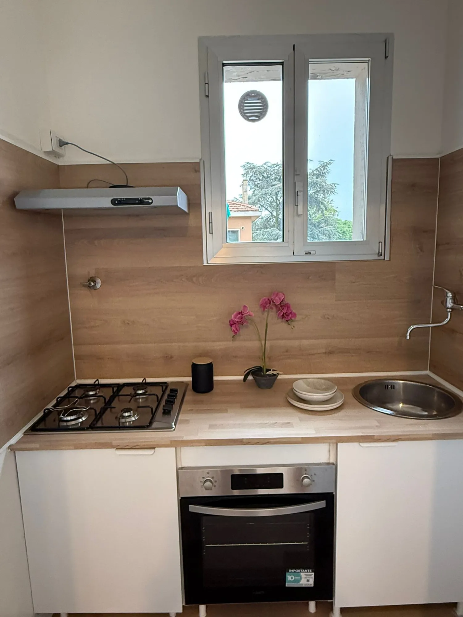 Private room in Bologna photo 5