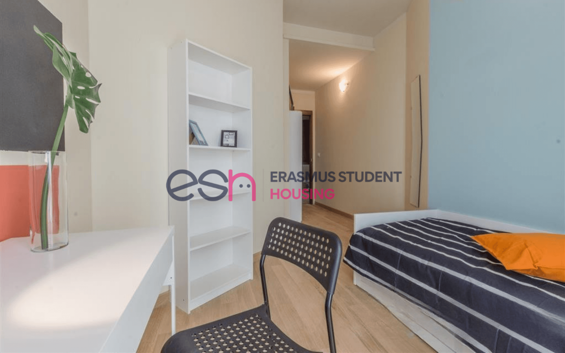 Room in Pisa