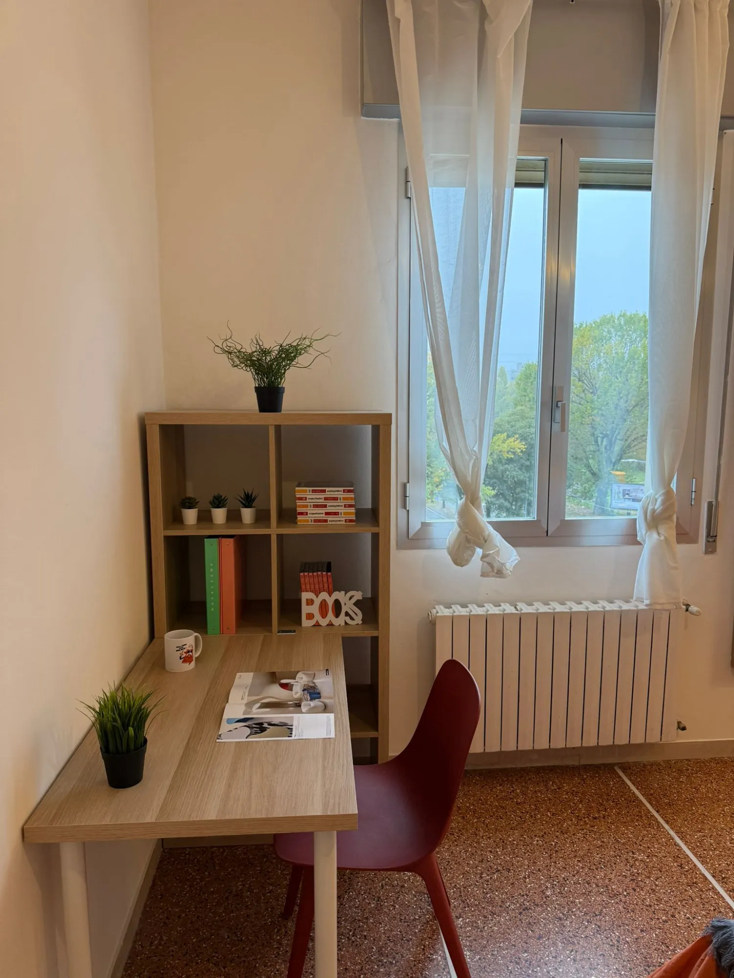 Private room in Bologna photo 2